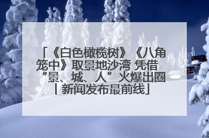 《白色橄榄树》《八角笼中》取景地沙湾 凭借“景、城、人”火爆出圈丨新闻发布最前线
