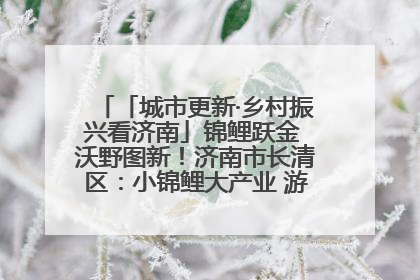 「城市更新·乡村振兴看济南」锦鲤跃金 沃野图新！济南市长清区：小锦鲤大产业 游出农旅新风景