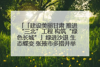 「建设美丽甘肃 推进“三北”工程 构筑“绿色长城”」绿进沙退 生态蝶变 张掖市多措并举加大防沙治沙力度