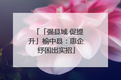 「强县域 促提升」榆中县：惠企纾困出实招
