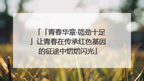 「青春华章·赣劲十足」让青春在传承红色基因的征途中熠熠闪光
