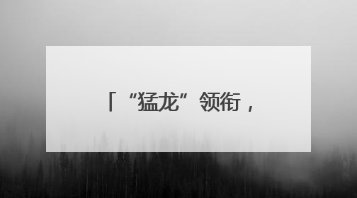 “猛龙”领衔，中国明星装备组团“出海圈粉”