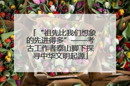 “祖先比我们想象的先进得多”——考古工作者泰山脚下探寻中华文明起源