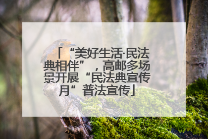 “美好生活·民法典相伴”，高邮多场景开展“民法典宣传月”普法宣传