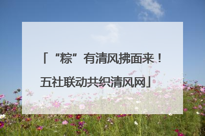 “粽”有清风拂面来！五社联动共织清风网