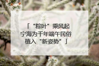 “粽叶”乘风起 宁海为千年端午民俗植入“新姿势”