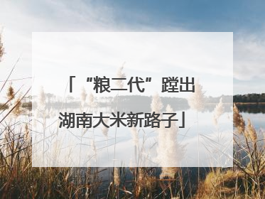 “粮二代”蹚出湖南大米新路子