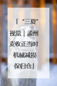 “三夏”视觉｜孟州麦收正当时 机械减损保归仓