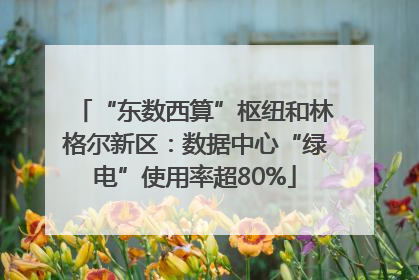 “东数西算”枢纽和林格尔新区：数据中心“绿电”使用率超80%