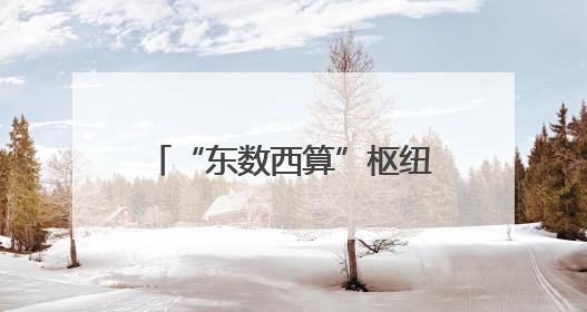 “东数西算”枢纽来沪推介，这里竟是华为云、腾讯和网易的算力“大本营”