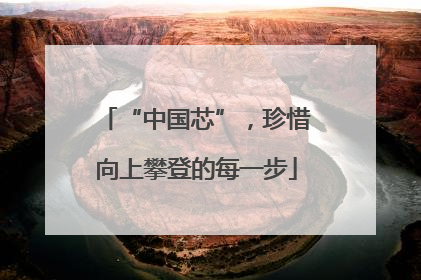 “中国芯”，珍惜向上攀登的每一步