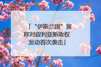 “伊斯兰国”宣称对叙利亚新政权发动首次袭击