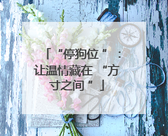 “停狗位 ”：让温情藏在 “方寸之间 ”
