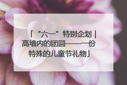 “六一”特别企划｜高墙内的团圆——一份特殊的儿童节礼物
