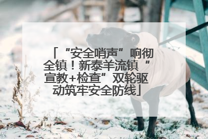 “安全哨声”响彻全镇！新泰羊流镇“宣教+检查”双轮驱动筑牢安全防线