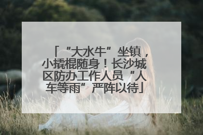 “大水牛”坐镇，小撬棍随身！长沙城区防办工作人员“人车等雨”严阵以待