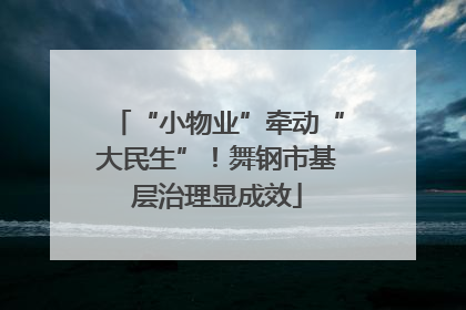 “小物业”牵动“大民生”！舞钢市基层治理显成效