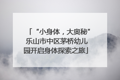 “小身体，大奥秘” 乐山市中区茅桥幼儿园开启身体探索之旅