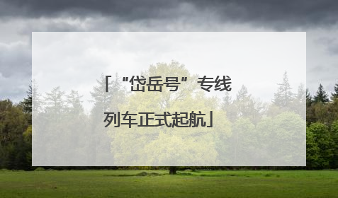 “岱岳号”专线列车正式起航