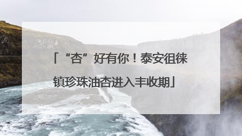 “杏”好有你！泰安徂徕镇珍珠油杏进入丰收期