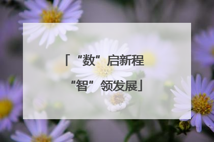 “数”启新程 “智”领发展