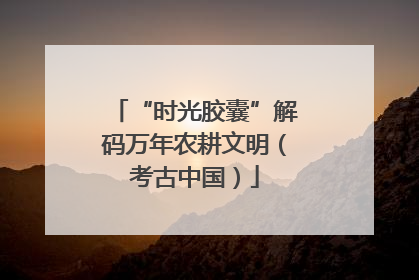 “时光胶囊”解码万年农耕文明（考古中国）