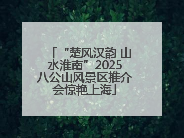 “楚风汉韵 山水淮南”2025八公山风景区推介会惊艳上海