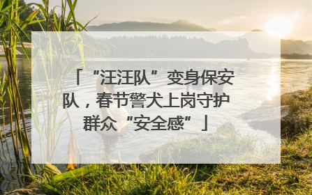 “汪汪队”变身保安队，春节警犬上岗守护群众“安全感”