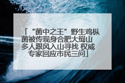 “菌中之王”野生鸡枞菌被传现身合肥大蜀山 多人跟风入山寻找 权威专家回应市民三问
