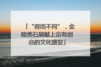 “荷而不同”，金陵美石展献上富有创意的文化盛宴