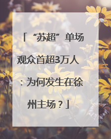 “苏超”单场观众首超3万人：为何发生在徐州主场？