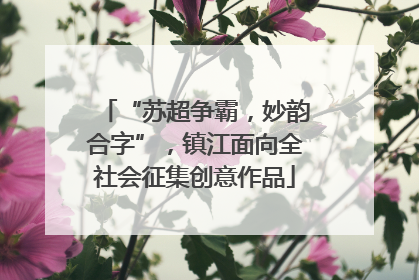 “苏超争霸，妙韵合字”，镇江面向全社会征集创意作品