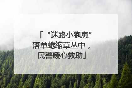 “迷路小狍崽”落单蜷缩草丛中，民警暖心救助