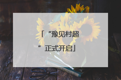 “豫见村超”正式开启
