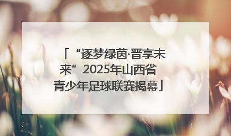 “逐梦绿茵·晋享未来”2025年山西省青少年足球联赛揭幕