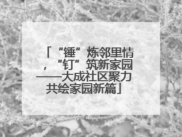 “锤”炼邻里情，“钉”筑新家园——大成社区聚力共绘家园新篇