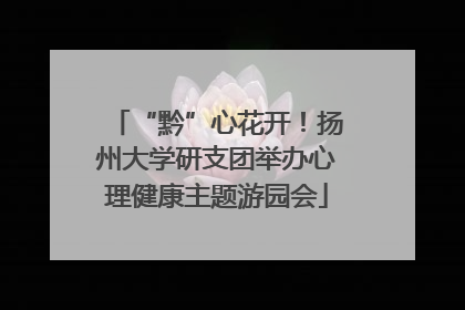 “黔”心花开！扬州大学研支团举办心理健康主题游园会