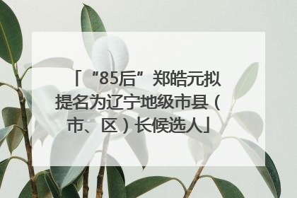 “85后”郑皓元拟提名为辽宁地级市县（市、区）长候选人