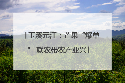 玉溪元江：芒果“爆单” 联农带农产业兴