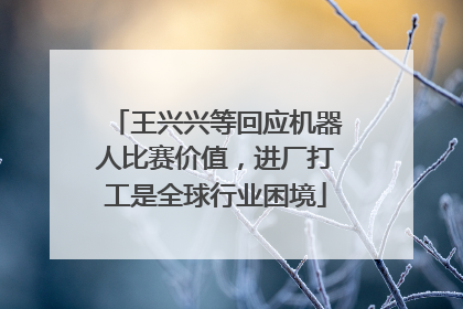 王兴兴等回应机器人比赛价值，进厂打工是全球行业困境
