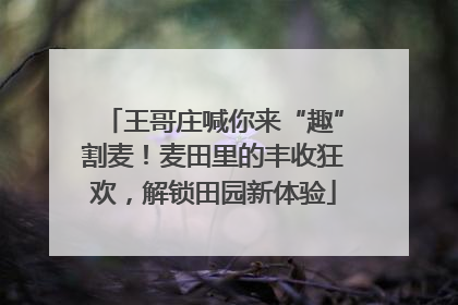 王哥庄喊你来“趣”割麦！麦田里的丰收狂欢，解锁田园新体验