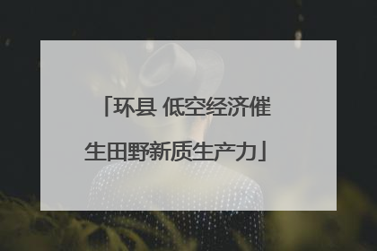 环县 低空经济催生田野新质生产力