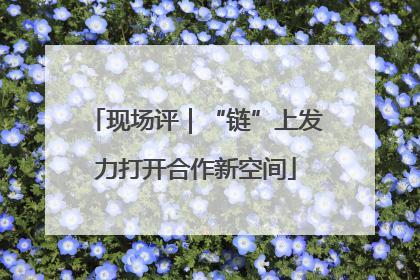 现场评｜“链”上发力打开合作新空间