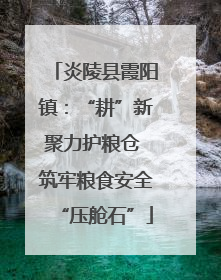 炎陵县霞阳镇：“耕”新聚力护粮仓 筑牢粮食安全“压舱石”