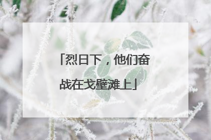 烈日下，他们奋战在戈壁滩上