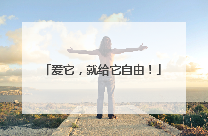 爱它，就给它自由！