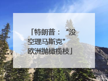 特朗普：“没空理马斯克” 欧洲抛橄榄枝