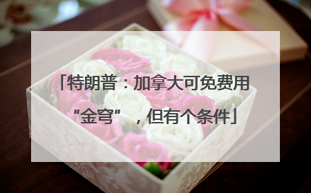 特朗普：加拿大可免费用“金穹”，但有个条件