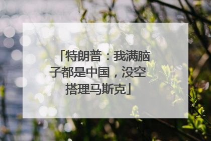 特朗普：我满脑子都是中国，没空搭理马斯克