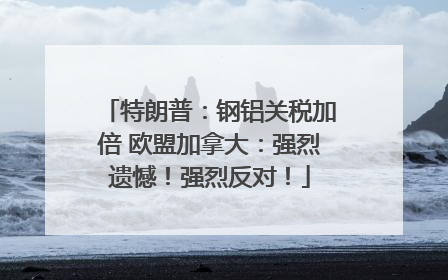 特朗普：钢铝关税加倍 欧盟加拿大：强烈遗憾！强烈反对！